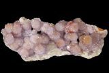 Cactus Quartz (Amethyst) Crystal Cluster - South Africa #94327-1
